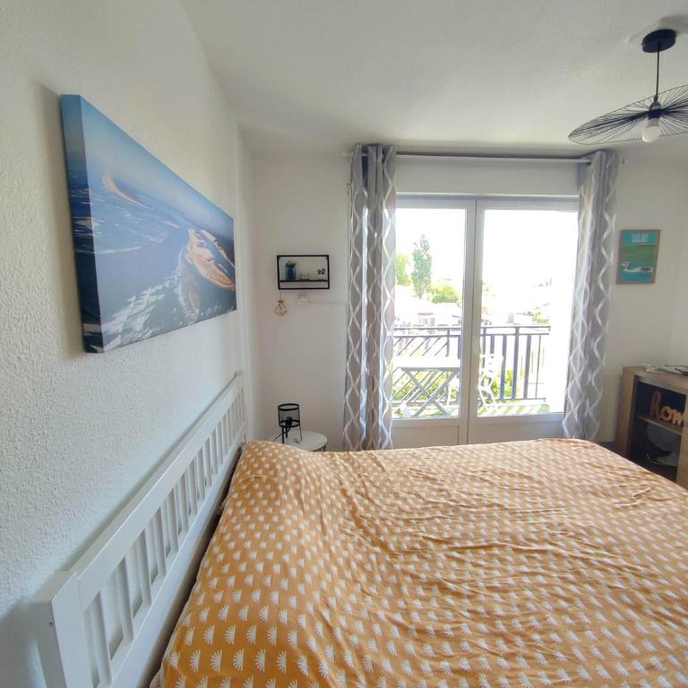 L'Oyat du Bassin - Appartement 1 Chambre - 3