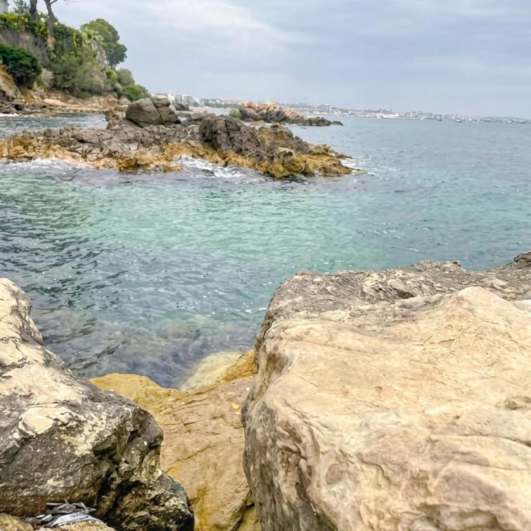 Sea View Apartment with Pool, Tennis and Beach Near Cannes - Appartement 1 Chambre - 24