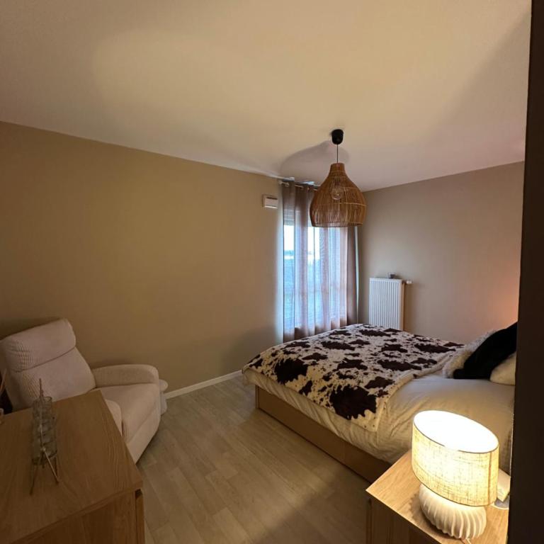 Le nid strasbourgeois - Appartement 1 Chambre - 8