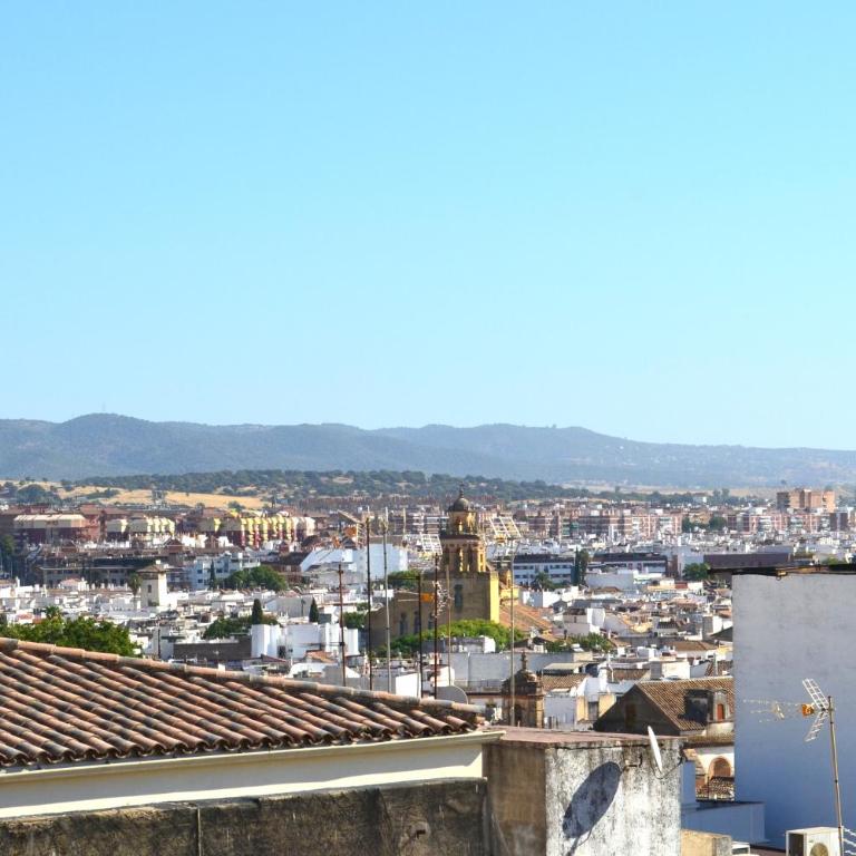 Sunshine Gonzalo Fernández de Córdoba - Premium Apartment mit 3 Schlafzimmern - 17