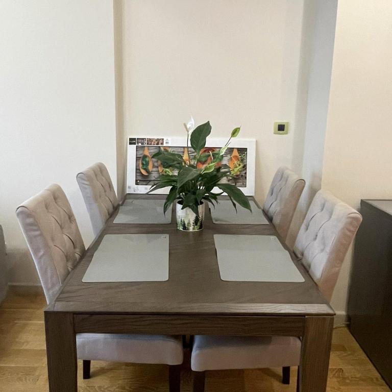 Nivel SIRIUS - One-Bedroom Apartment - 6