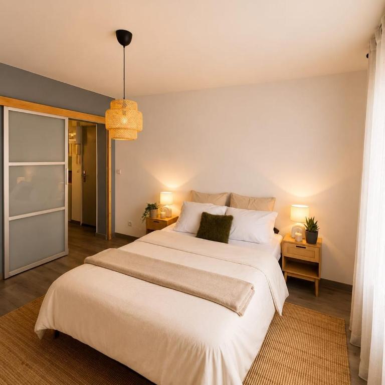 Diane's en champagne centre ville wifi cuisine équipée minibar - Appartement 1 Chambre - 9