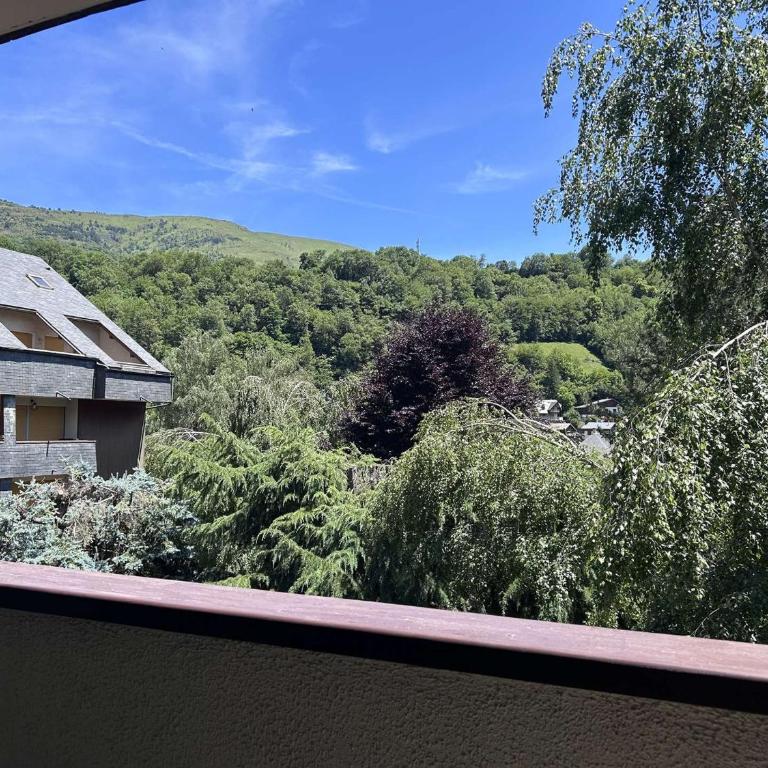 Confortable T2 pour 4 avec parking à St Lary Soulan - FR-1-457-218 - Apartment (5 Adults) - 10