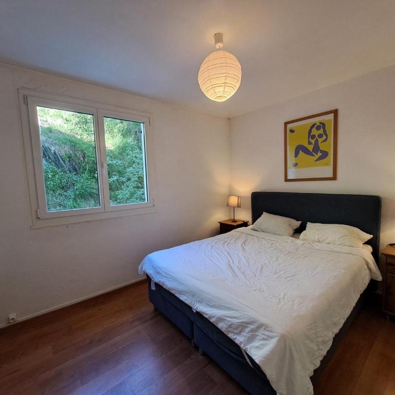 Appartement spacieux aux Deux Alpes, 6 pers, vue montagne - Appartement 2 Chambres - 8