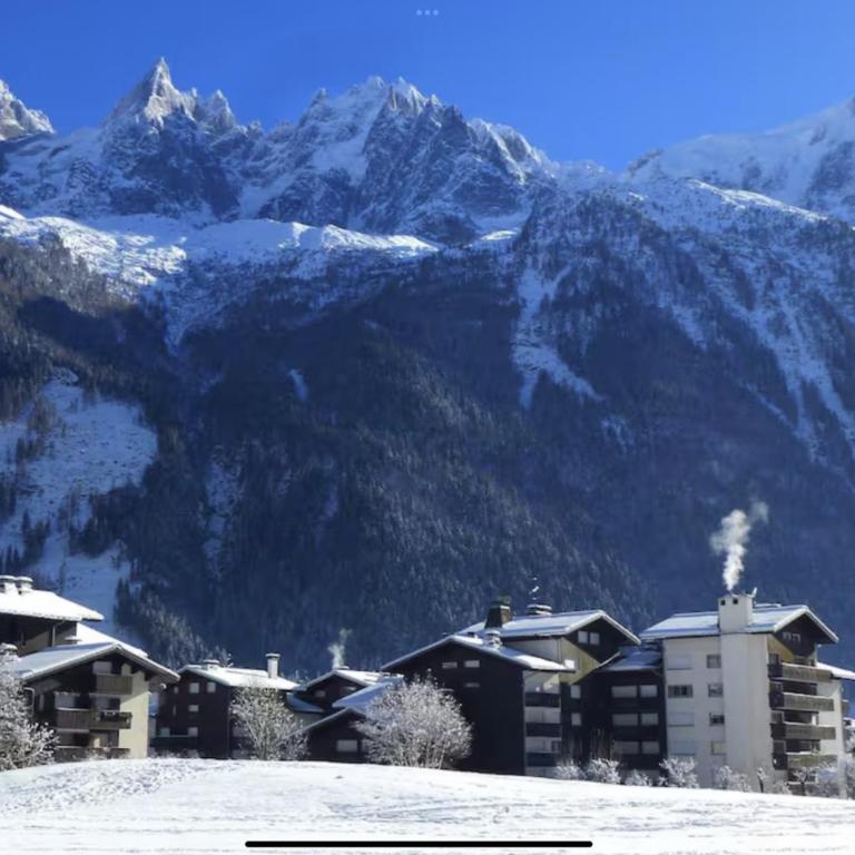 Appartement Agata spacieux à Chamonix avec terrasse et parking privé - Appartement - 17