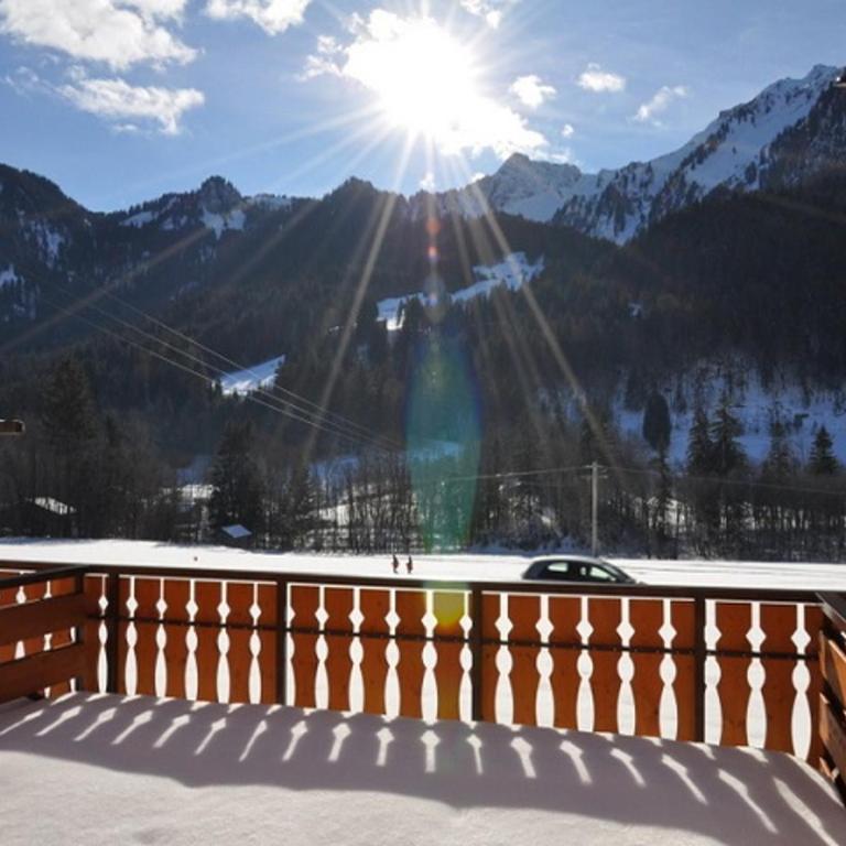 Charmant studio avec terrasse sud, animaux admis, parking - Studio - 9