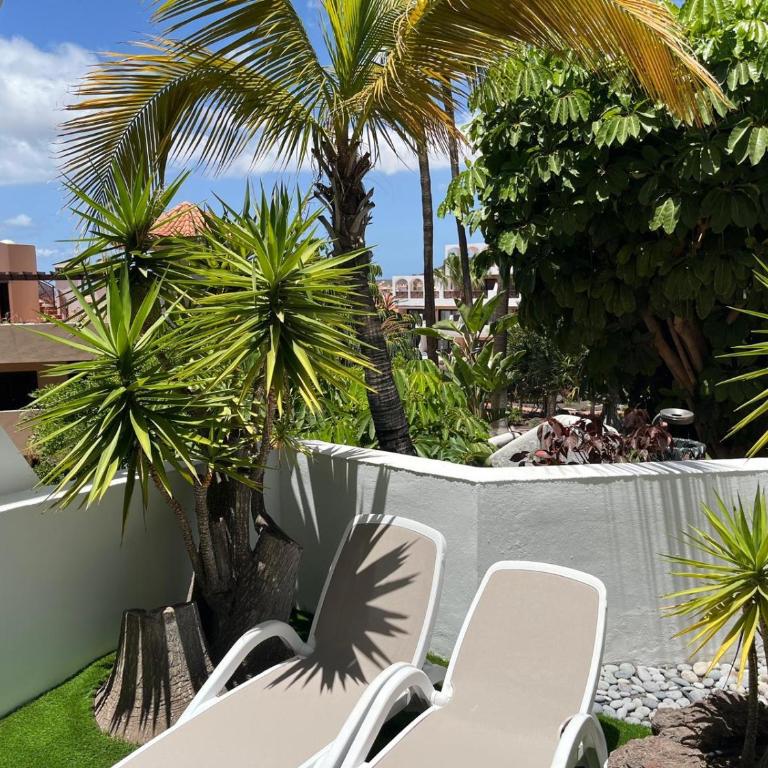 Parque Albatros - Apartamento de 1 dormitorio con terraza - 5