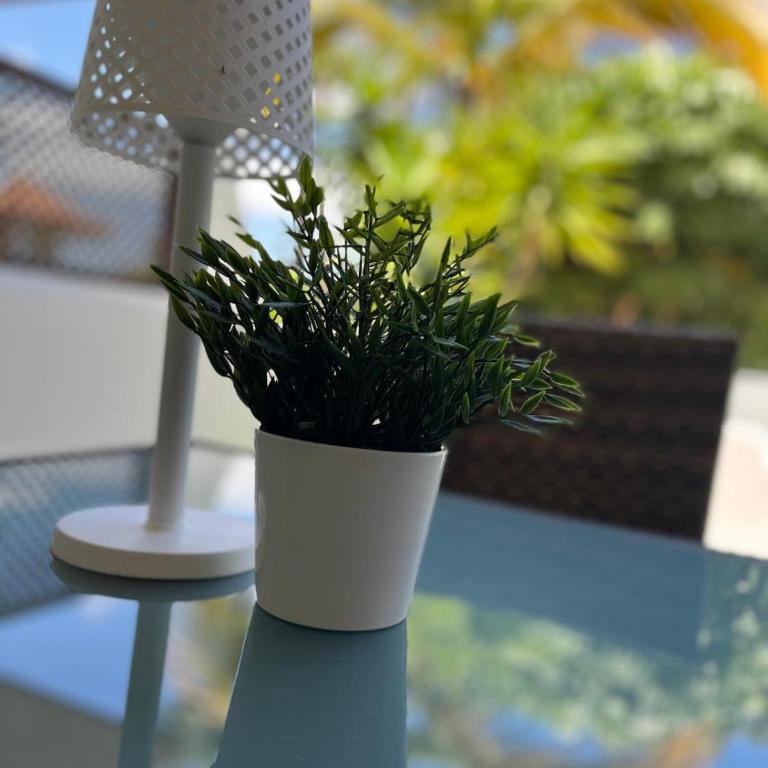 Parque Albatros - Apartamento de 1 dormitorio con terraza - 20