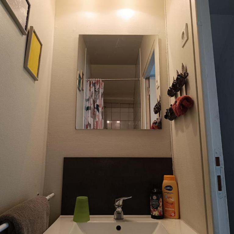 Maison atypique, quartier très calme, à Amiens - Chambre Familiale - 2
