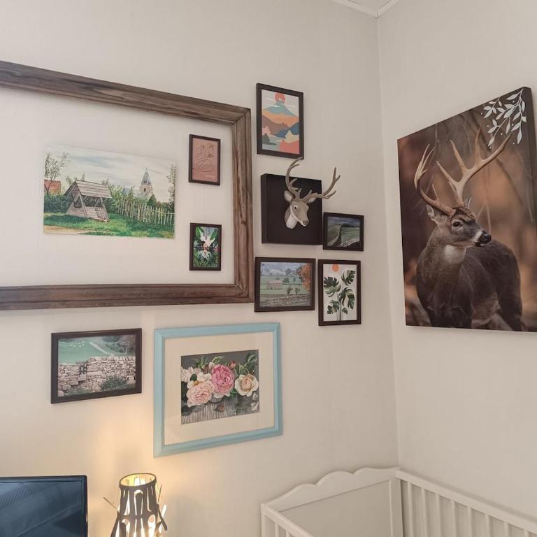 Maison atypique, quartier très calme, à Amiens - Chambre Familiale - 23