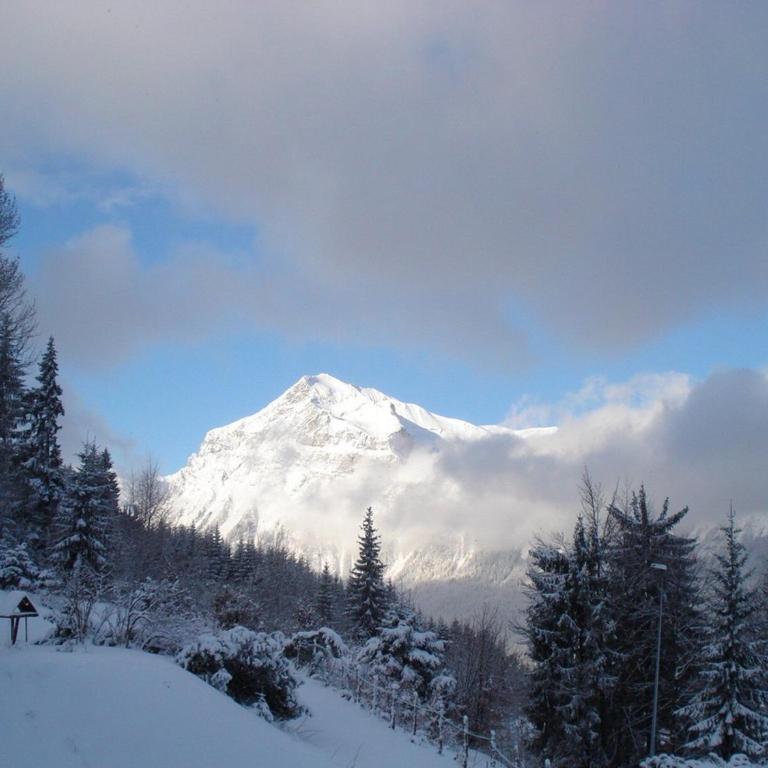 Chalet 8 pers, 3 ch + mezzanine, au pied des pistes, WIFI, PARKING - FR-1-572-33 - Chalet (8 Adultes) - 13