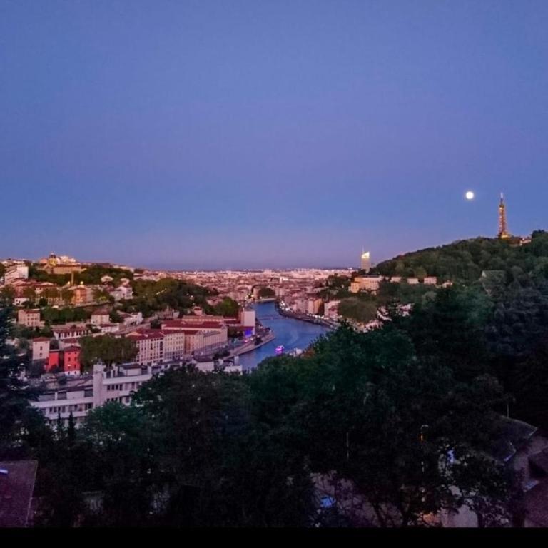 Belle vue sur Lyon - Apartamento de 1 dormitorio - 6
