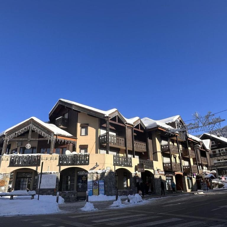 Studio central village aux Carroz, animaux admis, 5 pers - FR-1-572-202 - Studio - 11