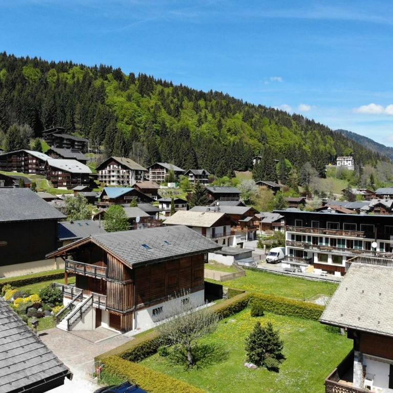 Barmes des Mossettes 4 - Appartement avec Terrasse - 7