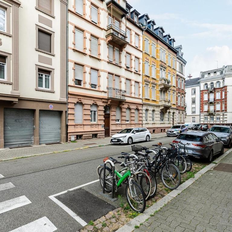 La belle Strasbourgeoise - Appartement - 61