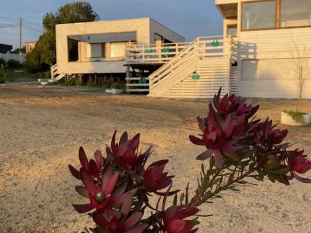 Refugio el yeco C4 - Apartamento de 1 dormitorio - 7