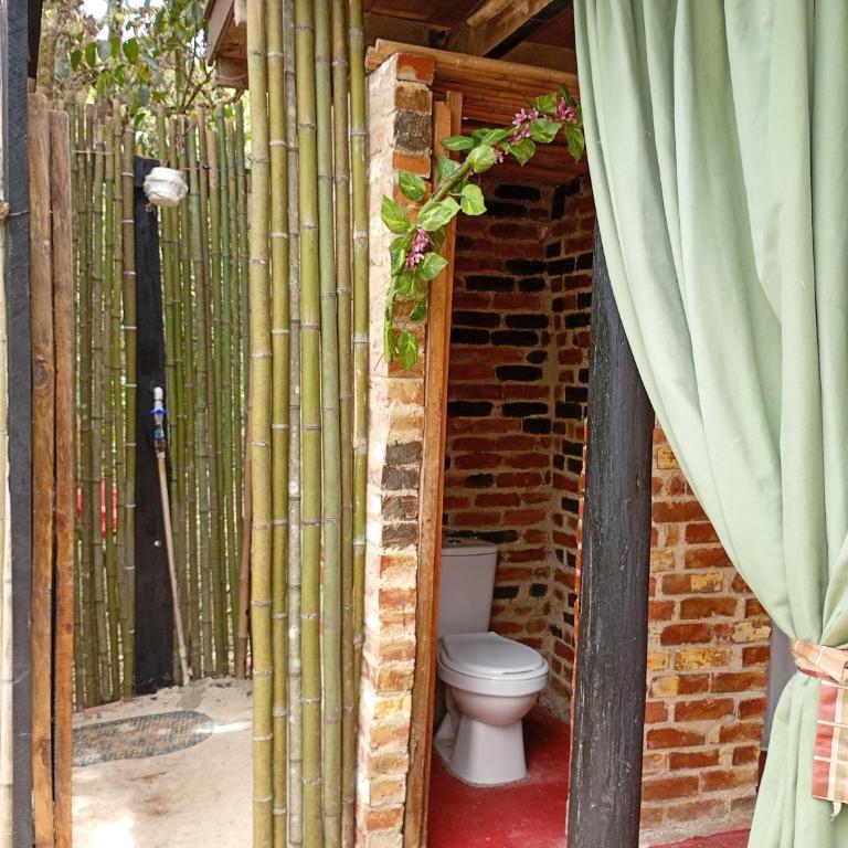 Eco Cabaña en el Campo - Chalet - 20