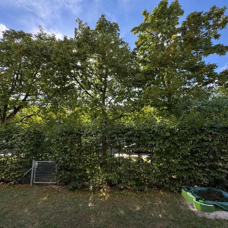 2BR Munich Apartment, Direct Train to Oktoberfest - Appartamento con 2 Camere da Letto - 17