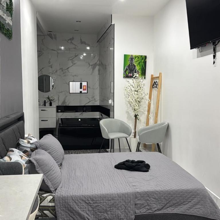Suites&Spa 2 Suites 2 Jacuzzi 1 Sauna by L Amaryllis - Appartement 2 Chambres - 8