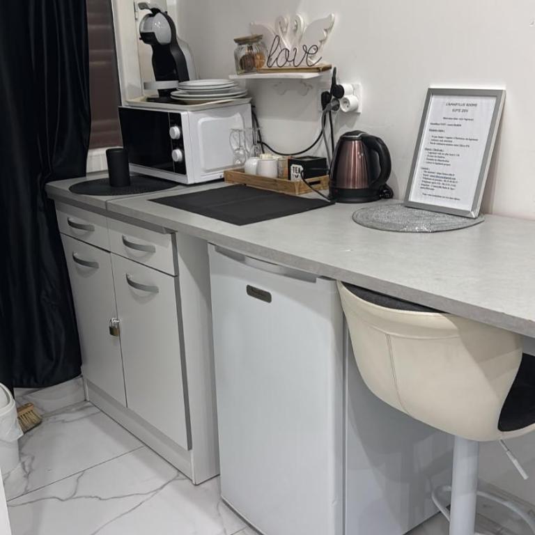 Suites&Spa 2 Suites 2 Jacuzzi 1 Sauna by L Amaryllis - Appartement 2 Chambres - 16