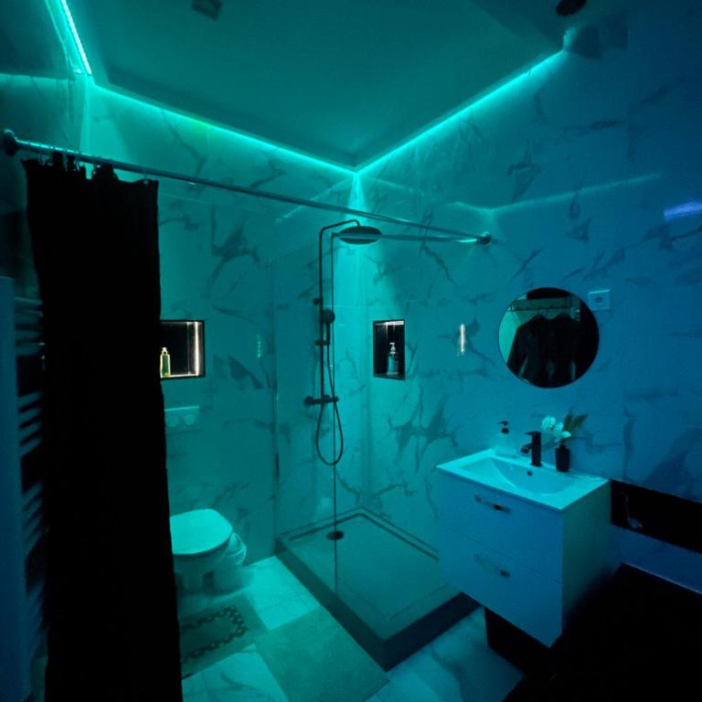 Suites&Spa 2 Suites 2 Jacuzzi 1 Sauna by L Amaryllis - Appartement 2 Chambres - 6
