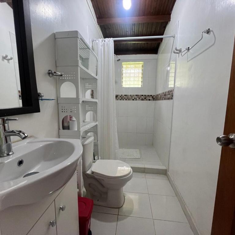 Cozy Mountain Country Home 25 min from Medellín - Chalet de 1 dormitorio - 19