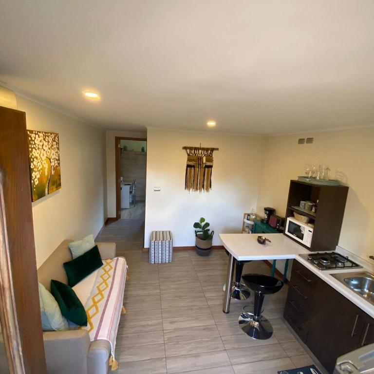 Lindo Departamento en Isla Teja - Apartamento de 1 dormitorio - 18