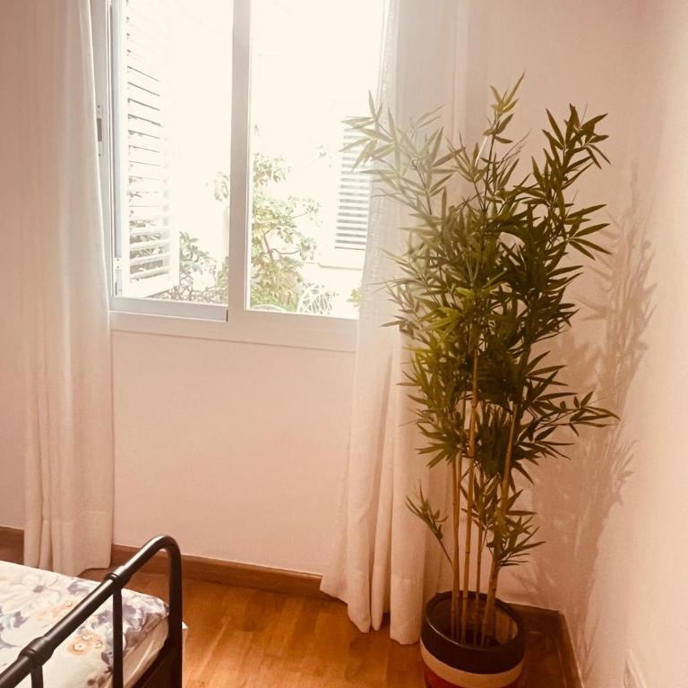 Apartamento Patio del Museo - Apartamento de 1 dormitorio - 14