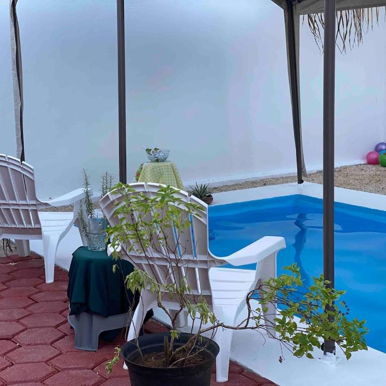 Suites Oasis con piscina a un paso de Av Montejo - Apartment mit 2 Schlafzimmern - 7