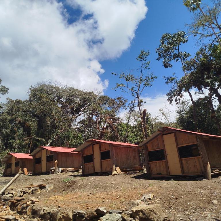 Cabaña LLactapata - Double Room with Mountain View - 6