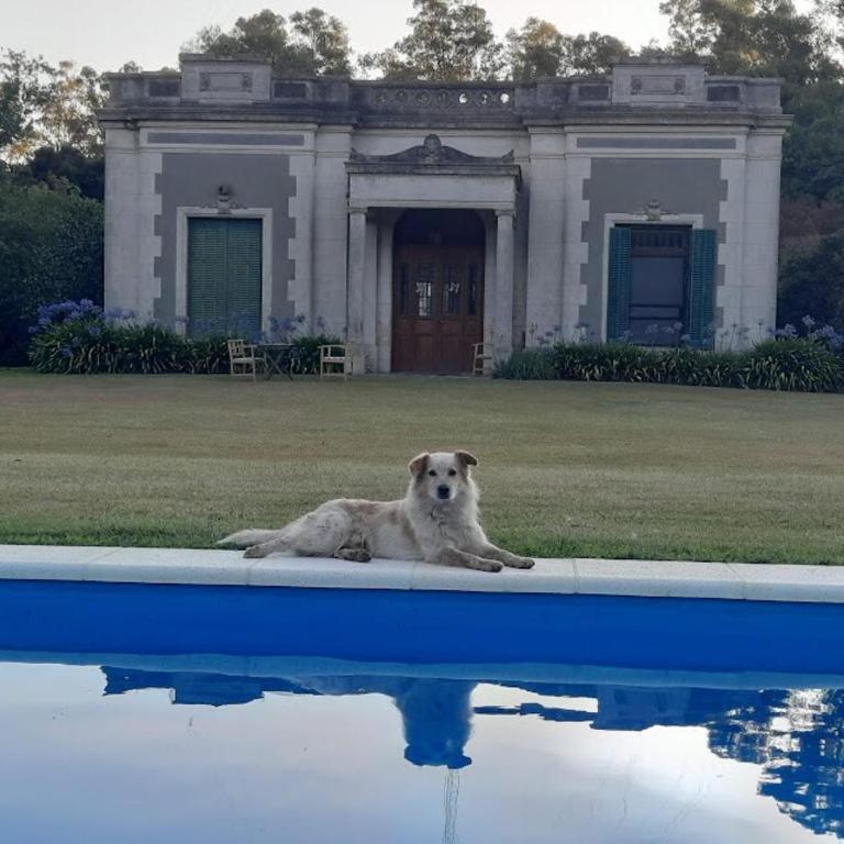 Encantadora estancia con pileta y parque privados - Casa de 4 dormitorios - 30