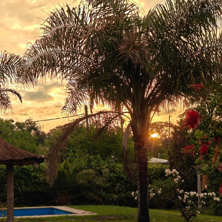 Complejo La Paz Casa de Campo- Dos casas ambas con piscina - Casa - 14