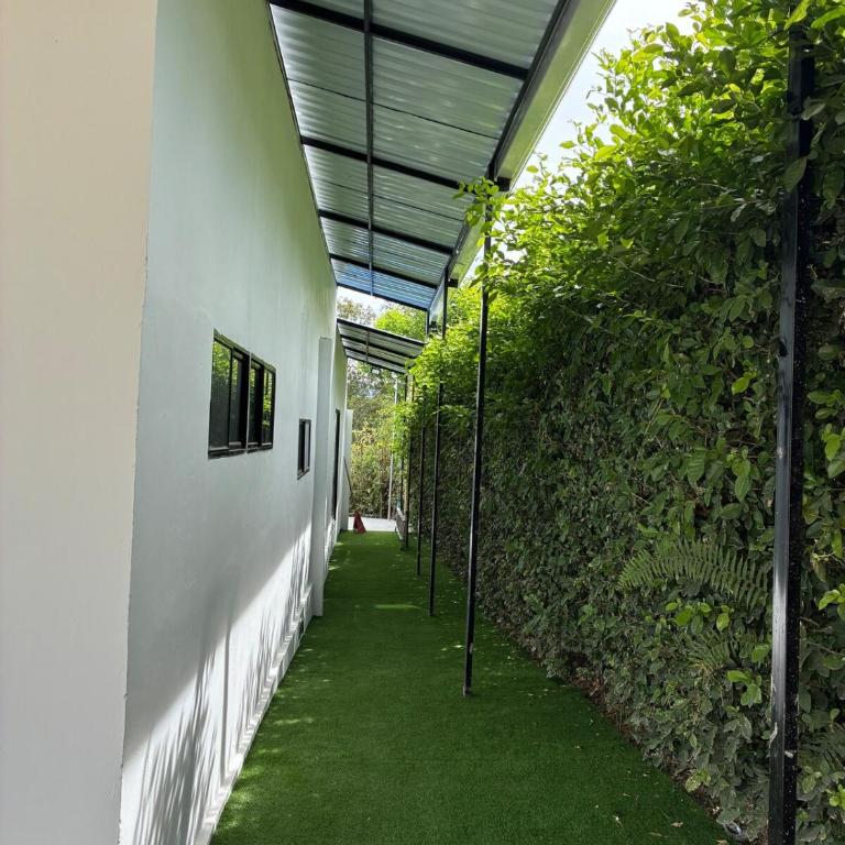 Casa de Lujo with sun pool in Carmen de Apicala - Four-Bedroom House - 31