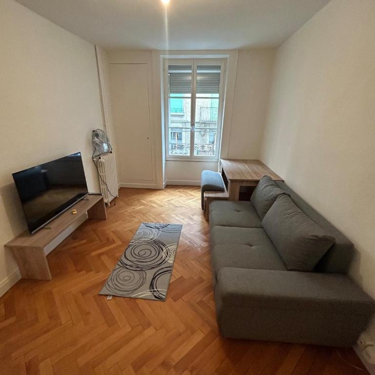 Living room, apartment, bedroom, excellent access - Appartement 2 Chambres - 14