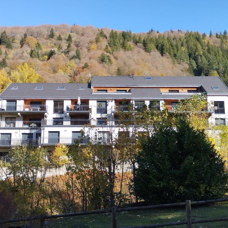 Apartement A1 le Mont dore 63240 - Appartement 1 Chambre - 17