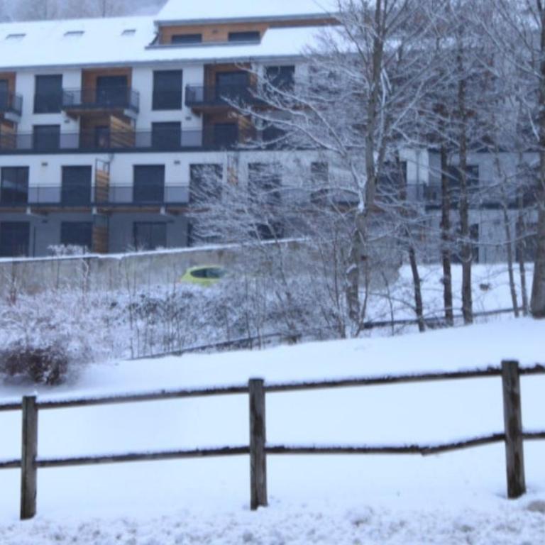 Apartement A1 le Mont dore 63240 - Appartement 1 Chambre - 19