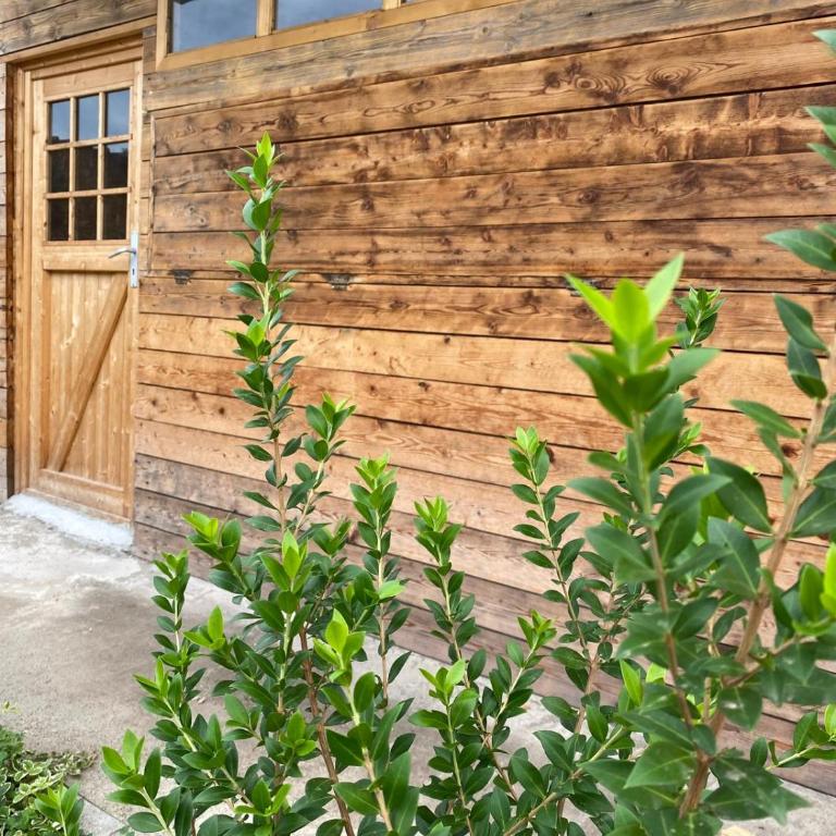 Chalet Olivarelle - Chalet con 1 Camera da Letto - 1