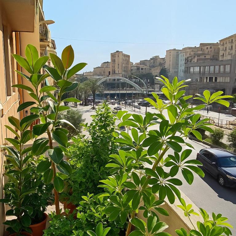 Casa orchidea casa vacanza Sanremo - Apartment mit 1 Schlafzimmer - 4