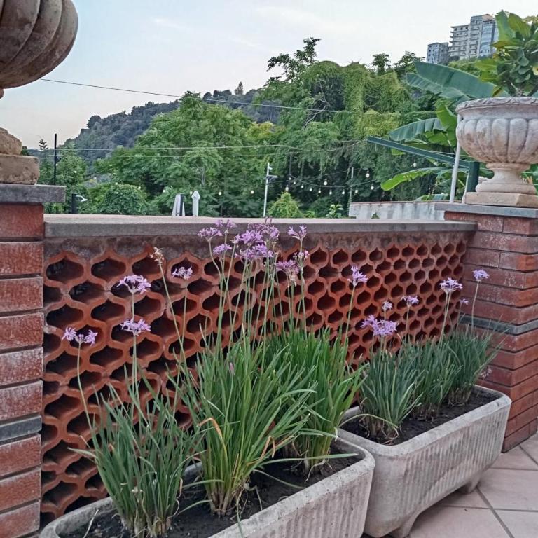 Antica Dimora Strano - villa con piscina privata - 21