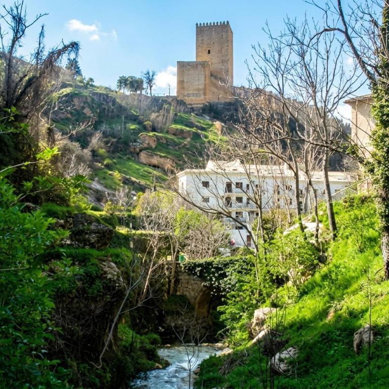 VFT Castillo de la Yedra - Appartamento con 1 Camera da Letto - 13