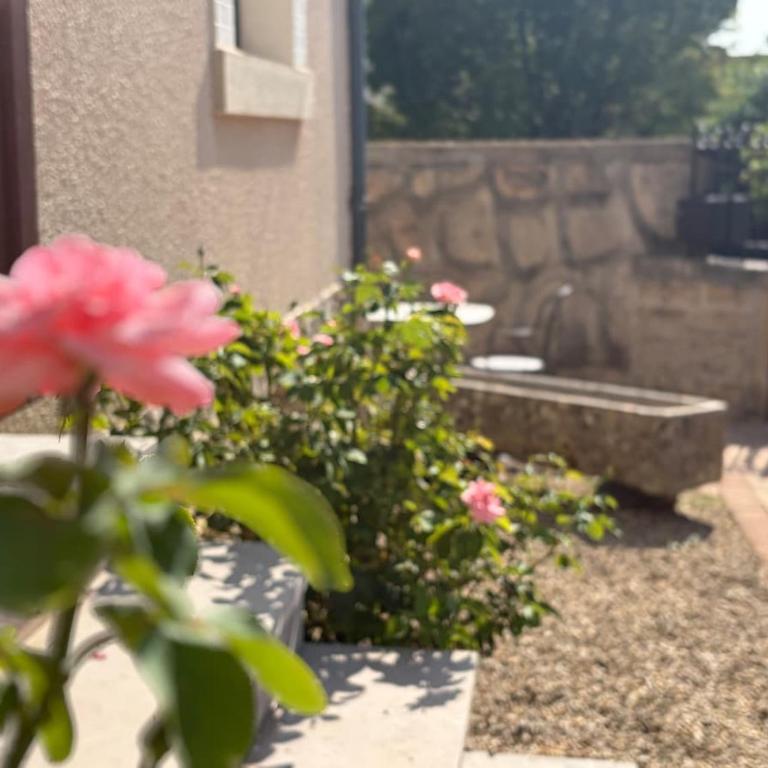 Le Clos de Hoin - Maison Montchapet, private parking - Casa con 1 dormitorio - 5