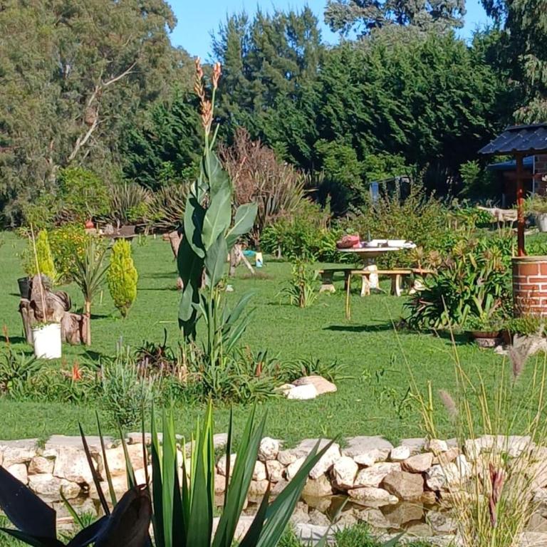 Complejo las azucenas - Casa de 2 dormitorios - 22
