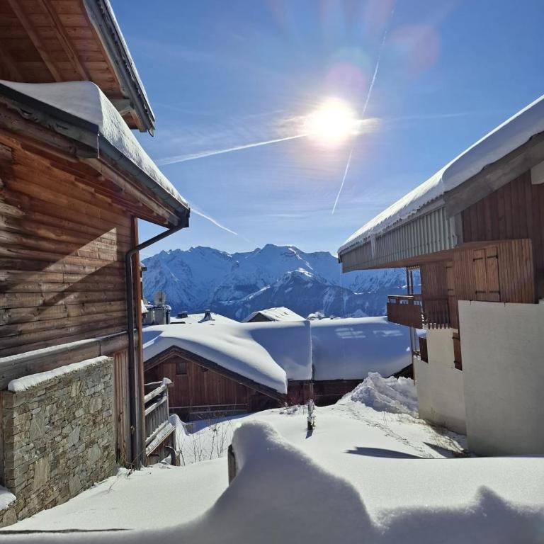 Cozy Majestic Ski Huez - Maison 2 Chambres - 10