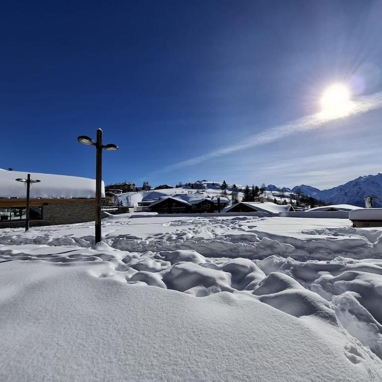 Cozy Majestic Ski Huez - Maison 2 Chambres - 17