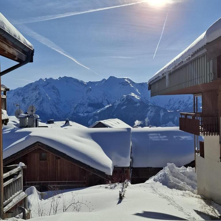 Cozy Majestic Ski Huez - Maison 2 Chambres - 18