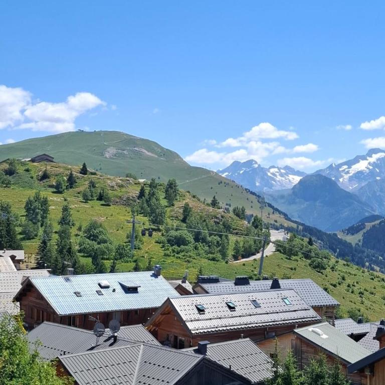 Cozy Majestic Ski Huez - Maison 2 Chambres - 22