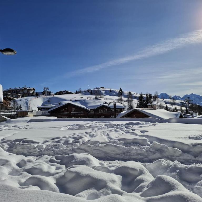Cozy Majestic Ski Huez - Maison 2 Chambres - 23