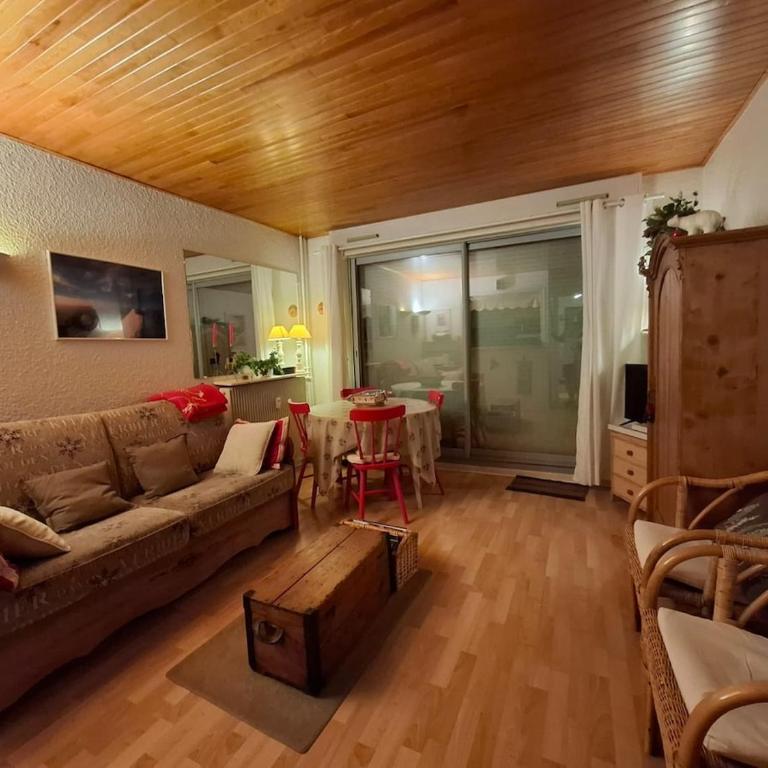 Cozy Majestic Ski Huez - Maison 2 Chambres - 29