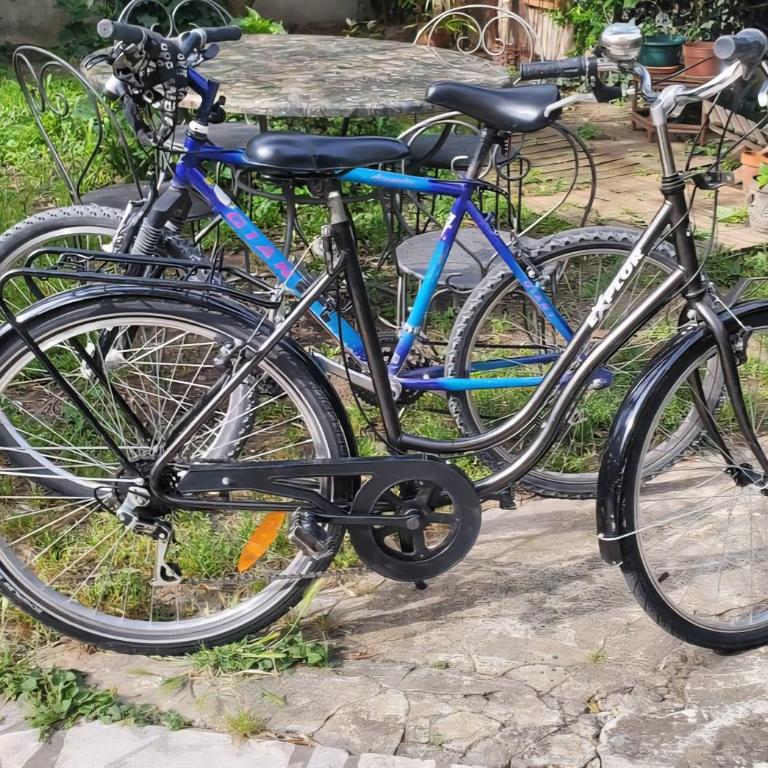 Logement déco en rez-de-jardin avec vélos - Appartement 1 Chambre - 11