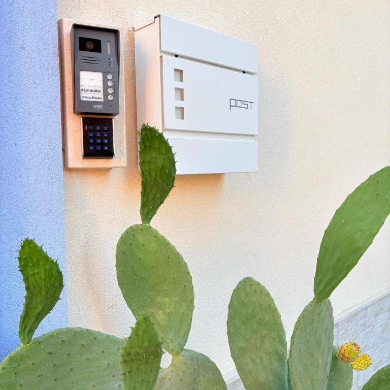 U Ficu d'India - Apartamento de 1 dormitorio - 27